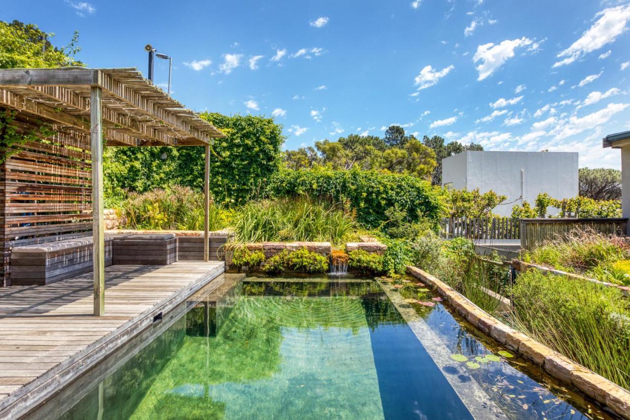 Solar-Powered Mountain Retreat With Natural Pool Cape Town Dış mekan fotoğraf
