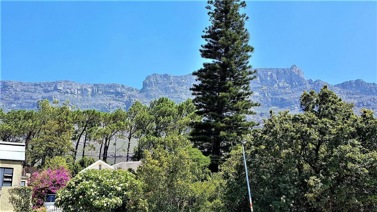 Solar-Powered Mountain Retreat With Natural Pool Cape Town Dış mekan fotoğraf